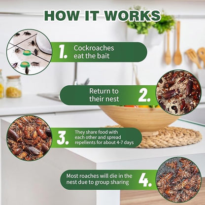 Digi Collections Natural Cockroach Killer Trap for Kitchens, Bathrooms and Cabinets