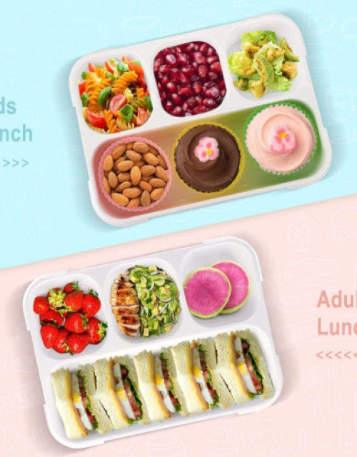 4 Compartment Bento Lunch Box for Kids